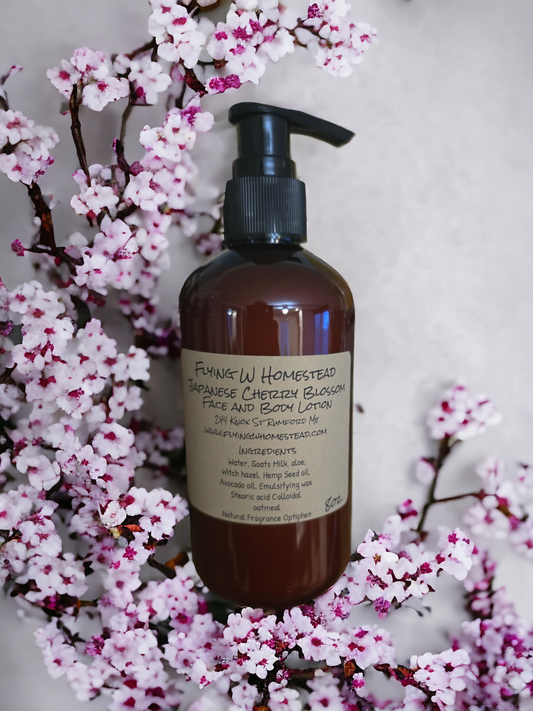 Japanese Cherry Blossom Face and Body Lotion